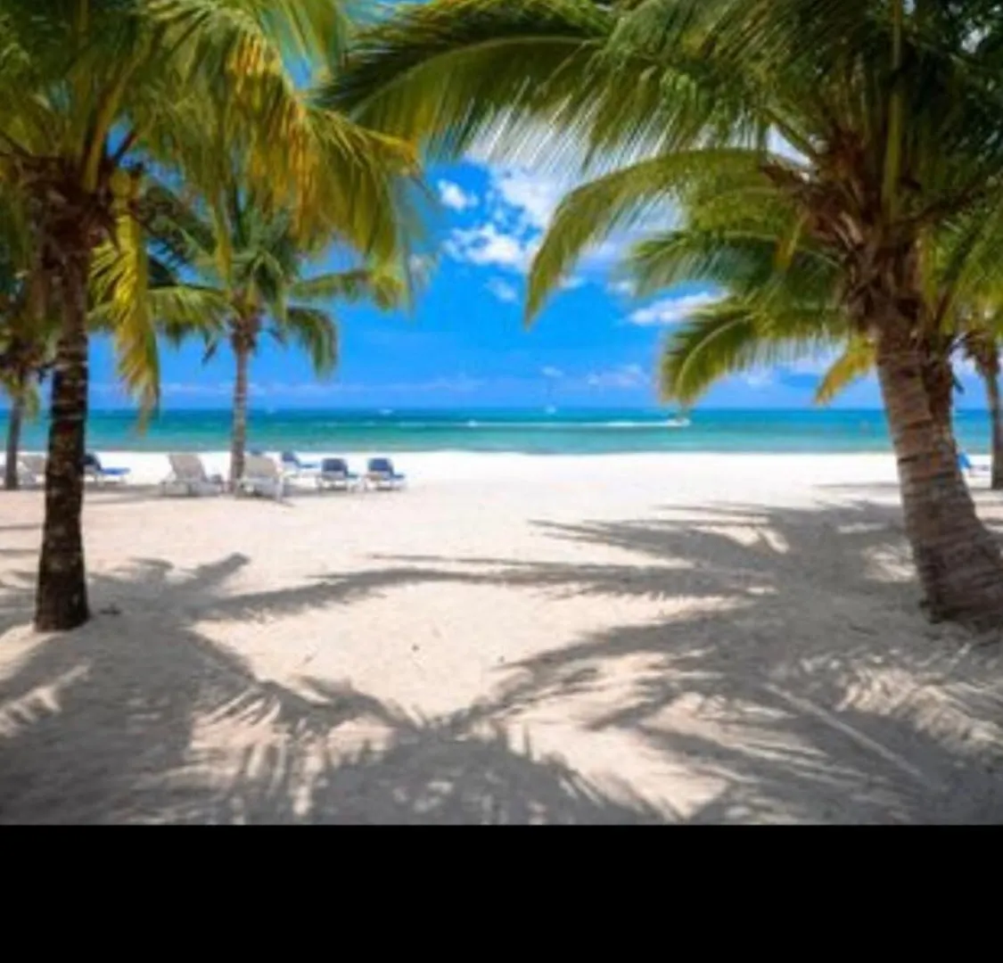 Spacious Beachfront Condo At Reef Cozumel México